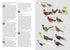 Birds of Vietnam - Richard Craik, Lê Quý Minh 2018 Flexi kantinen